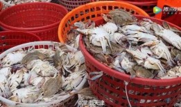 天津水产爆料事件最新,揭露海鲜市场惊人内幕，食品安全再引关注