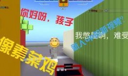 像素射击最新爆料视频网,揭秘游戏画面与玩法革新